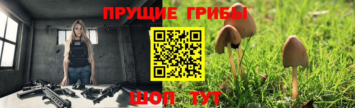 Новокубанск  Галлюциногенные грибы мухоморы  что такое   Вход с VPN 