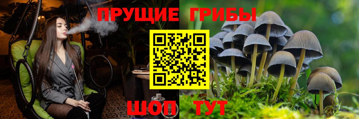 Псилоцибиновые грибы прущие грибы Новокубанск